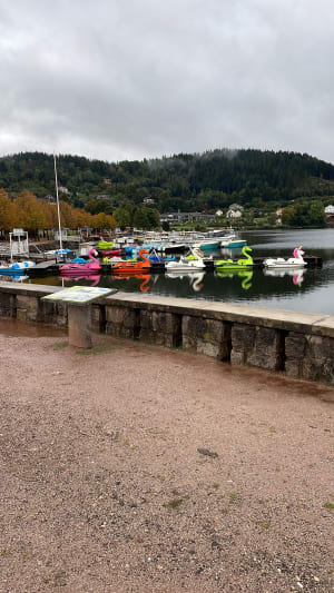 Le tour du lac de Gérardmer - Gérardmer - 8