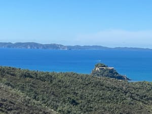 Cap benat-Cabasson - Bormes-les-Mimosas - 5