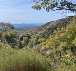 Balade sur les hauteurs de Saint-Vallier-de-Thiey - Saint-Vallier-de-Thiey - 2