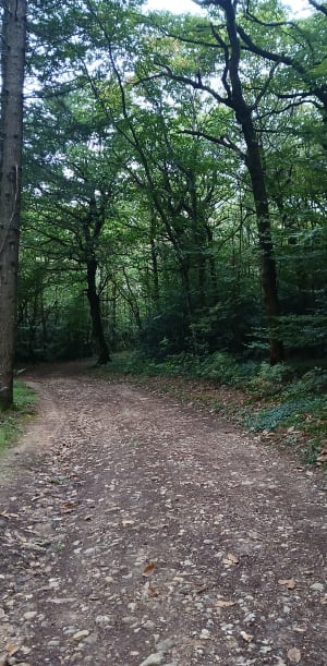 Parcours 2 des bois de la Naisse - Toff - 2