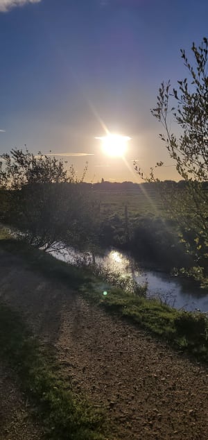 Marais de Donges - Sophie - 9