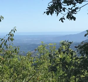Proche de Montferrer - Antoine - 2