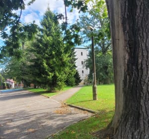 Piesza trasa Rychwałd - Koleby - Kocurów - Rychwałd - Monika - 4