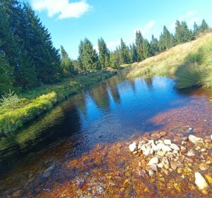 Jakuszyce-Chatka Górzystów - spacerowo - Piotr Józef - 4