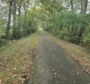 Boucle Bougue Maquerelle par bois, chemin et route - LAURENT - 5
