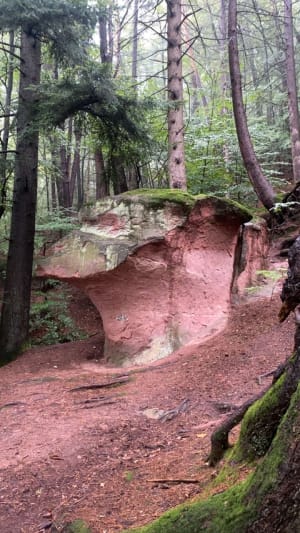 Le mirador de l'Avison à Bruyères - Bruyères - 4