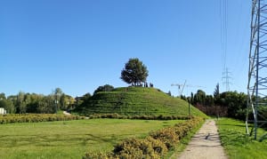 Bałuckie parki i Ocalalych - Ania - 7