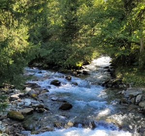 Lac de Curtillard - Le Haut-Bréda - 4