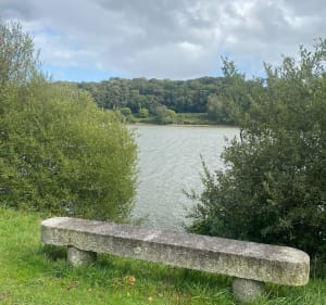 2e balade étang du Guic et Vieil Etang - Guerlesquin - 3
