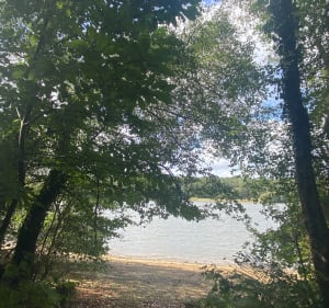 2e balade étang du Guic et Vieil Etang - Guerlesquin - 4