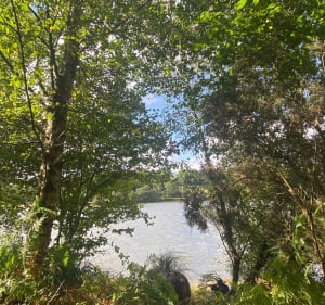 2e balade étang du Guic et Vieil Etang - Guerlesquin - 5