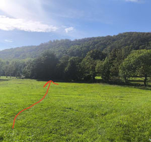 Balade de 8km près de Velzic - amandine - 5