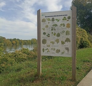 Promenade sur le chemin de halage à Le Pecq - Christine - 3
