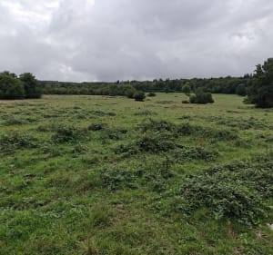 Roche du Taureau - Cléron - Cléron - 2