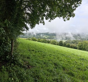 Roche du Taureau - Cléron - Cléron - 4