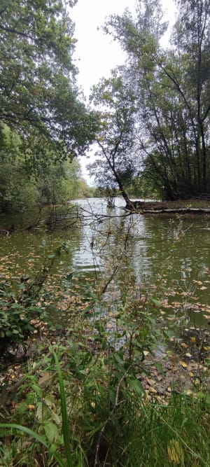 Réserve du plateau des Landes et paradis des amphibiens - Stephane - 8