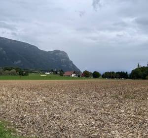 Une balade agréable autour de Saint-Jeoire-Prieuré - Saint-Jeoire-Prieuré - 2
