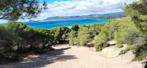 Balade au calme de la vigne à la dune - Eric - 8