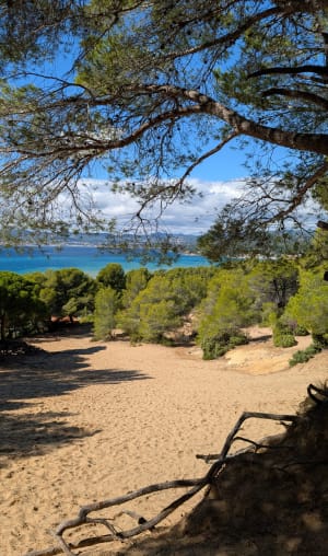 Balade au calme de la vigne à la dune - Christiane - 5