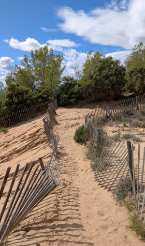 Balade au calme de la vigne à la dune - Christiane - 6