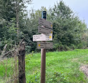 De l’église de Buellas au plan d’eau de Viocet - Buellas - 2