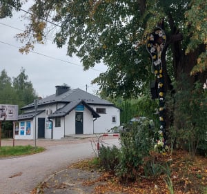 Spacer przez Sobolów i Kamyk - Bartek - 5