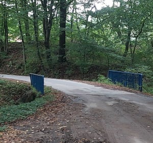 Spacer przez Sobolów i Kamyk - Bartek - 3