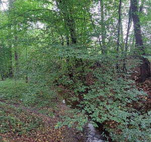 Spacer przez Sobolów i Kamyk - Bartek - 4