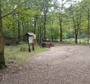 Podbiegi leśne - Leszno - 2