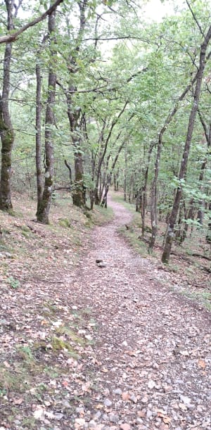 Les gorges de Daluis, Le Colorado niçois - Jean paul - 3