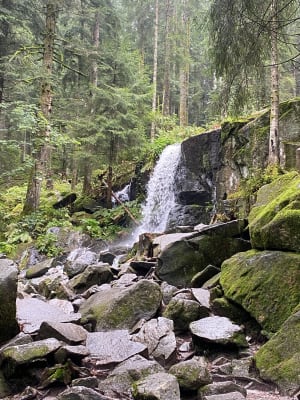 Echappée en forêt de Gérardmer et cascades mélodieuses - CHRISTINE - 8
