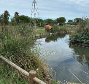 Parc de la Prade - Serge - 4
