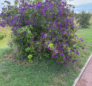 Parc de la Prade - Serge - 3