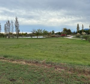 Parc de la Prade - Serge - 2