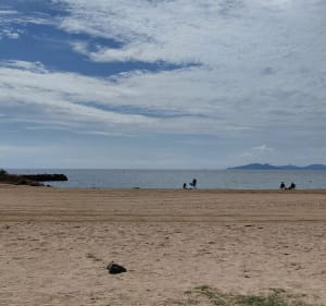 Ma balade des plus jolis spots de La Londe les Maures - La Londe-les-Maures - 4