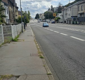 Une marche à Laxou par Villier-lès-Nancy - Fayad - 3