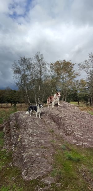 Jusqu'aux confins du Val sans Retour (Brocéliande) - Chloe - 12