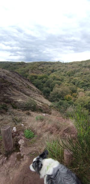 Jusqu'aux confins du Val sans Retour (Brocéliande) - Chloe - 15