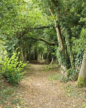 Autour de St Martin du Vivier - laetitia - 6