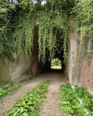 Autour de St Martin du Vivier - laetitia - 9