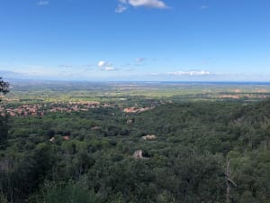 Au fil de l'eau de Laroque-des-Albères - Marlon - 6