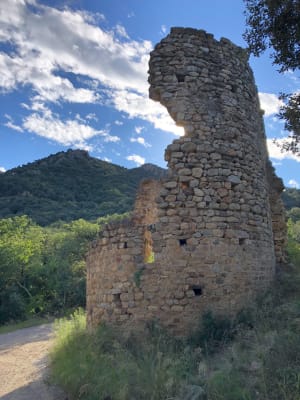 Au fil de l'eau de Laroque-des-Albères - Marlon - 7