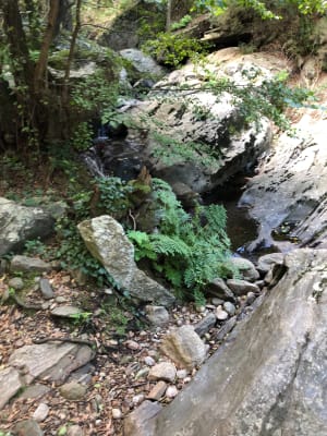 Au fil de l'eau de Laroque-des-Albères - Marlon - 8