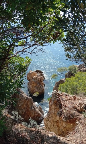 Entre terre et mer, du côté de Bregancon - Bormes-les-Mimosas - 7