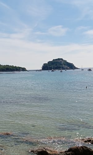 Entre terre et mer, du côté de Bregancon - Bormes-les-Mimosas - 10