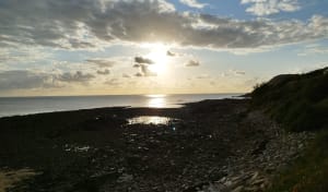 Autour de Sciotot et par le bois de Flamanville - Corinne - 10