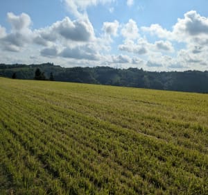 Coteaux et vignobles de Jurançon depuis l'université de Pau - BRICE - 2