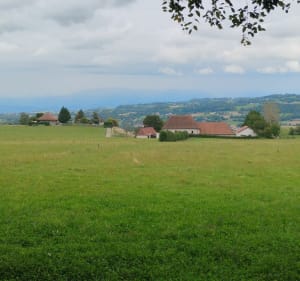 Balade vallonnée depuis Saint-Clair-de-la-Tour - Saint-Clair-de-la-Tour - 3