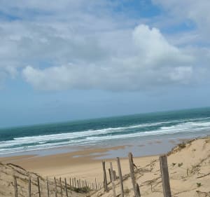Boucle de Lacanau Océan jusqu'aux plages Sud et du Lion - Lacanau - 3