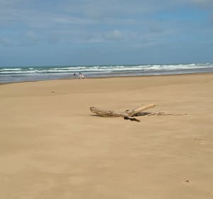 Boucle de Lacanau Océan jusqu'aux plages Sud et du Lion - Lacanau - 4